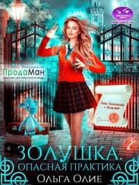 Опасная практика (СИ). Олие Ольга - читать в Рулиб