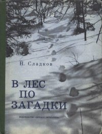 В лес по загадки. Сладков Николай - читать в Рулиб