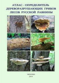 Атлас-определитель дереворазрушающих грибов лесов Русской равнины. Коллектив авторов - читать в Рулиб