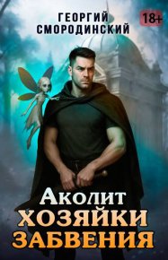 Аколит Хозяйки Забвения. Смородинский Георгий - читать в Рулиб
