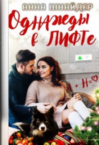 Однажды в лифте. Шнайдер Аннa - читать в Рулиб