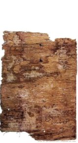Мадридский кодекс. Автор неизвестен - читать в Рулиб