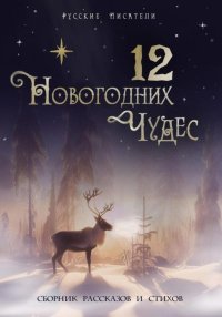 12 новогодних чудес. Рахаева Юлия - читать в Рулиб