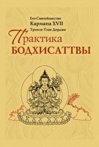 Практика Бодхисаттвы. Кармапа XVII Тринле Тхае Дордже - читать в Рулиб