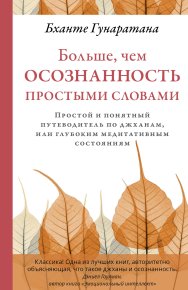 Больше, чем осознанность простыми словами. Простой и понятный путеводитель по джханам, или глубоким медитативным состояниям. Гунаратана Бханте Хенепола - читать в Рулиб