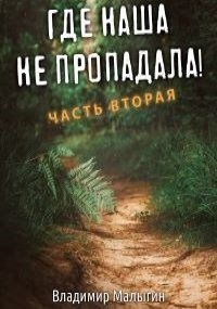 Где наша не пропадала 2 (СИ). Малыгин Владимир - читать в Рулиб