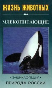 Жизнь животных. Природа России. Млекопитающие. Часть 2. Павлинов Игорь - читать в Рулиб