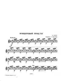 Концертный этюд №2 (Редакция Е.Ларичева). Сихра Андрей (Гитарист) - читать в Рулиб