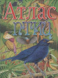 Атлас птиц. Бабенко Владимир - читать в Рулиб