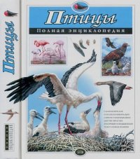 Птицы. Полная энциклопедия. Школьник Юлия - читать в Рулиб