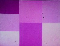 Параллельные прямые и конгруэнтность фигур. Болтянский Владимир - читать в Рулиб