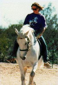 Автор «Тарр Джудит»